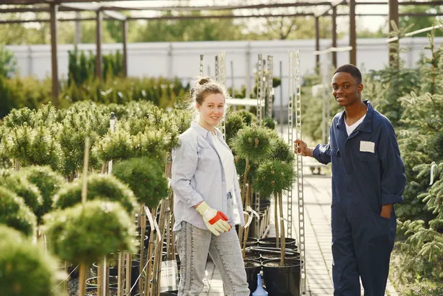 Two gardeners tending plants in a beautiful outdoor nursery. Diversity and teamwork in nature. Checklist for native plant nurseries maintenance: the annual review
