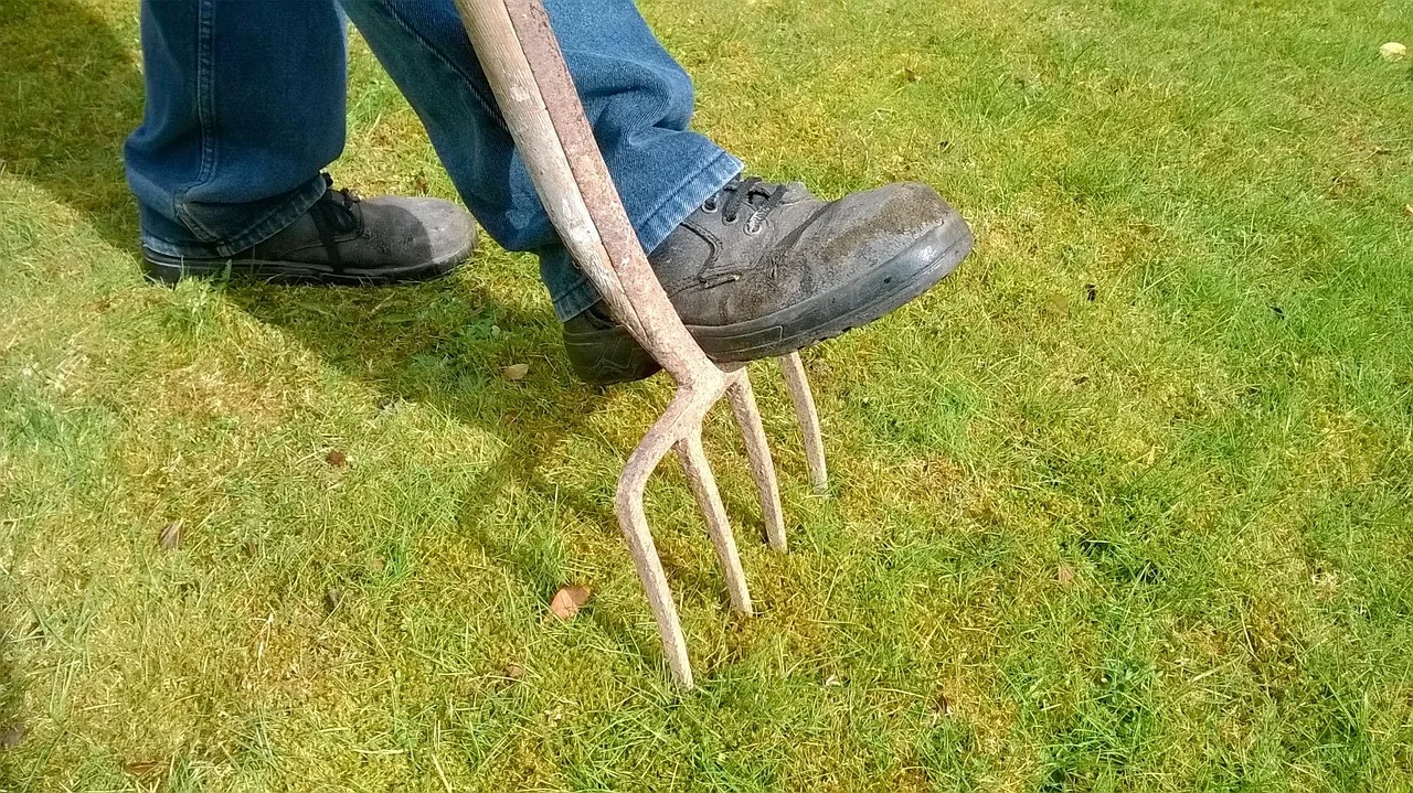 garden, fork, lawn, lawn maintenance, gardening, green, equipment, work, tool, nature, spring, outdoor, gardening tools, moss, drainage, aerate, digging, soil, dirt, digging fork. How to approach lawn replacement: never leave bare soil