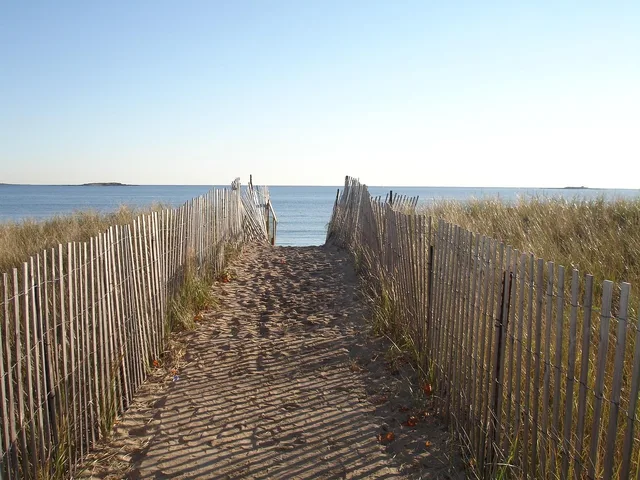 new england, path, fence, ocean, sea, beach, seascape, sky, water, sand, wave, coast, coastal, marine, coastline, scenic, outdoor, nature, environment, seaside, brown news, brown wave, brown path, brown waves, brown new, new england, new england, new england, new england, new england. Coastal Maine native plants for fog, wind, and salt spray