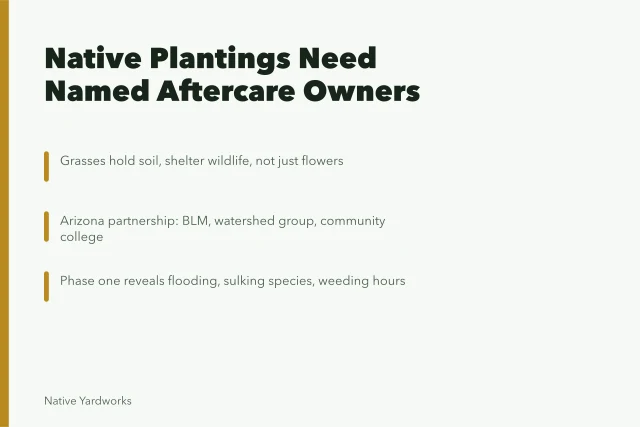 Card summarizing native planting lessons: grasses, local partnerships, and named aftercare owners. How to approach native yard projects case studies: someone has to own the aftercare