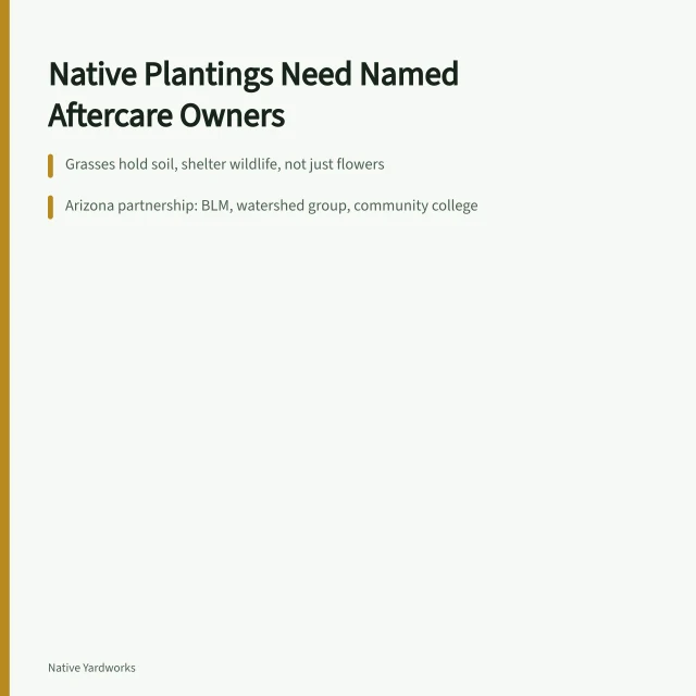 Card summarizing native planting lessons: grasses, local partnerships, and named aftercare owners. How to approach native yard projects case studies: someone has to own the aftercare