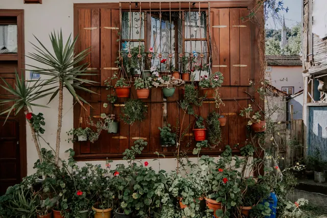 Rustic wooden house exterior decorated with potted plants and flowers, creating a vibrant garden vibe.