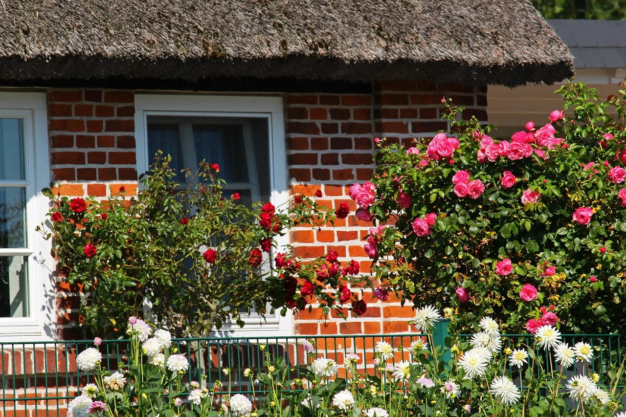 farmhouse, beautiful flowers, front yard, rügen island, flower garden, flower background, cottage garden, thatched roof, country house, high-stem roses, roses, as lien, clinker, summer, flower wallpaper, home garden, idyllic, rural, quiet, flower bed, flower, garden, village, nature, country life. 5 things to weigh up on front yard plant combinations