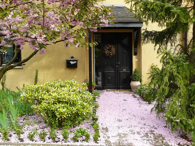 house entrance, blossoms, blossom, bloom, petals, flora, light pink, pink, plant, garden, plants, spring, nature, green, bloom, coloured, japanese cherry, japanese cherry blossom, 