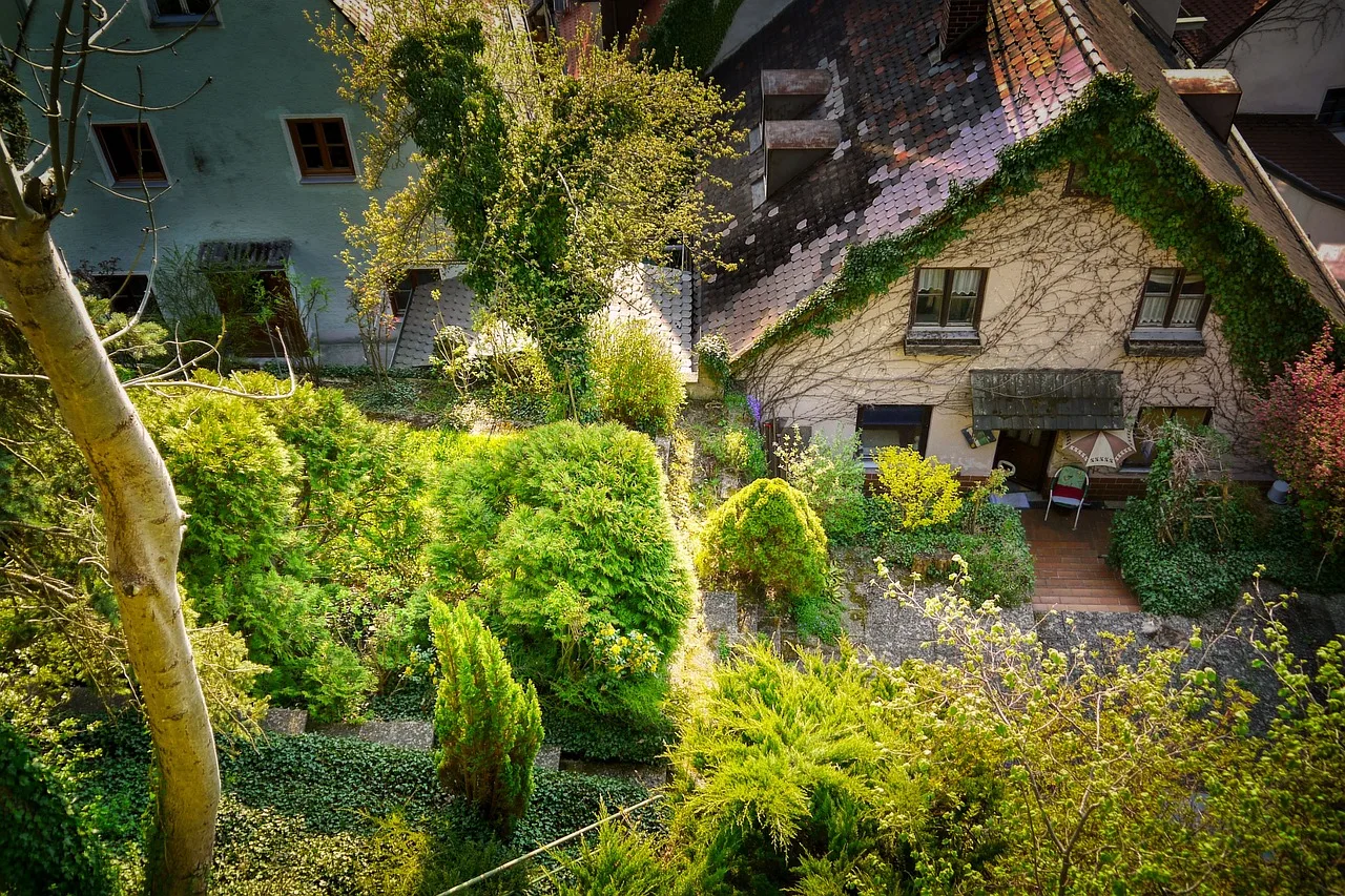 garden, front yard, houses, roofs, overgrown garden, nature, bavaria, germany. Front yard planting checklist: 8 steps before you buy