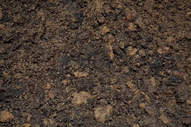 dirt, soil, potting, mix, ground, mud, planting, seedling, nature, garden, agriculture, gardening, earth, plant, growth, land, natural, cultivated, field, grow, sprout, brown, ecology, brown earth, brown garden, brown plant, brown growth, brown gardening, brown field, brown plants, brown natural, dirt, dirt, soil, soil, soil, soil, soil. Native landscaping: observe your yard before planting