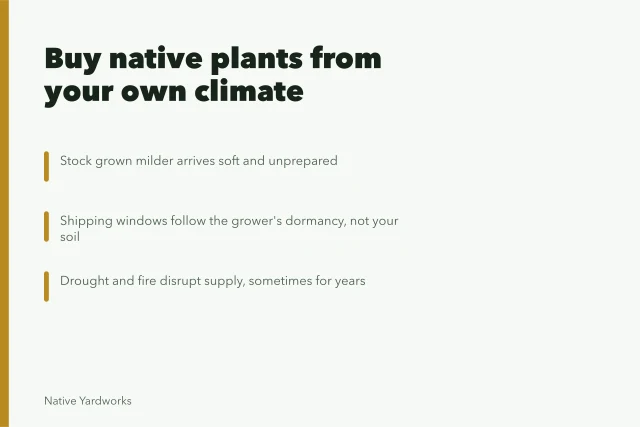 Field guide to native plant nurseries by region: fire seasons interrupt supply. Field guide to native plant nurseries by region: fire seasons interrupt supply