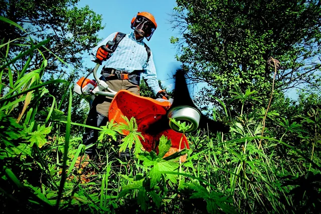 garden, grass cutter, gardening, grass, man, nature, outdoors, person, tools, gardener, green grass. Native yard makeovers contractor: questions before signing