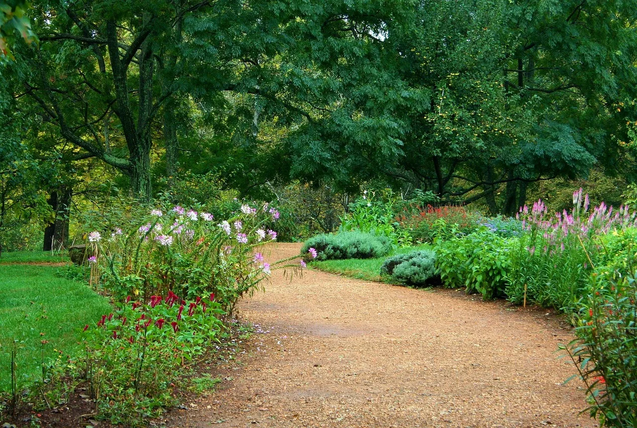 garden path, flower background, pea gravel, sand, lawn, flowers, horticulture, green garden, nature, green gardening, beautiful flowers, green sand, flower wallpaper, green path. Weighing lawn replacement comparison: choosing between them