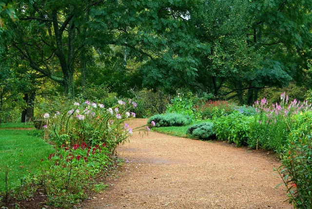 garden path, flower background, pea gravel, sand, lawn, flowers, horticulture, green garden, nature, green gardening, beautiful flowers, green sand, flower wallpaper, green path. Weighing lawn replacement comparison: choosing between them