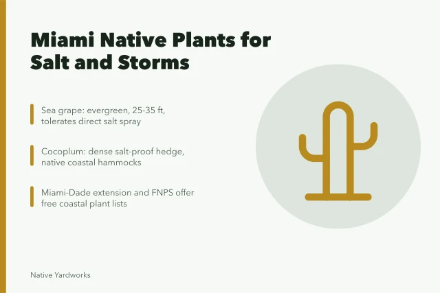 Salt-tolerant native coastal plants for Miami yards. Miami native plants for salt tolerance and coastal resilience