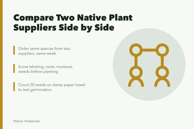 Card comparing native plant seed and seedling quality from two suppliers. Why does judging seed matter so much for native plant nurseries reviews?