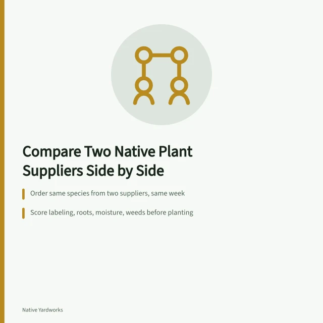 Card comparing native plant seed and seedling quality from two suppliers. Why does judging seed matter so much for native plant nurseries reviews?