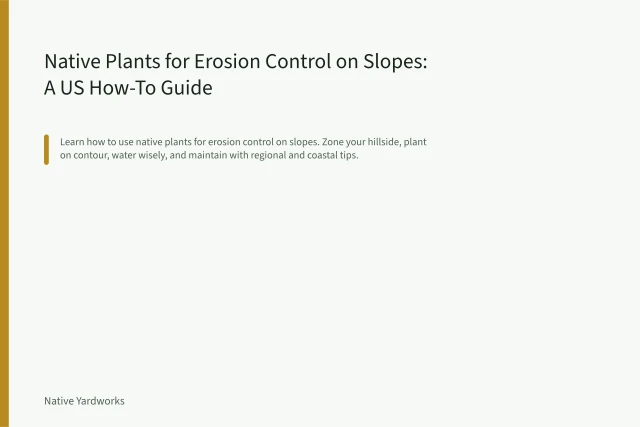 Native plant plugs on contour lines across a hillside slope with coir wattles. Native Plants for Erosion Control on Slopes: A US How-To Guide