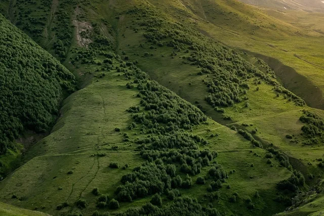 mountain slope, hill, landscape, hillside, slope, mountain, nature, forest, trees, earth day, mountain, forest, earth day, earth day, earth day, earth day, earth day. Native Plants for Erosion Control on Slopes: A US How-To Guide