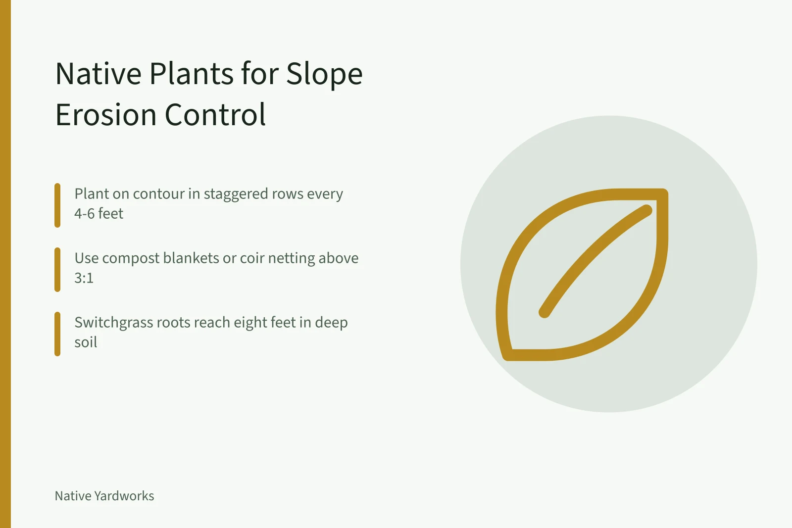 Slope with native grasses and wildflowers holding soil. Native Plants for Erosion Control on Slopes: A US Slope-by-Slope Guide