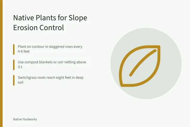 Slope with native grasses and wildflowers holding soil. Native Plants for Erosion Control on Slopes: A US Slope-by-Slope Guide
