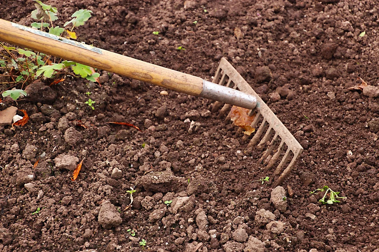 rake, gardening, garden, agriculture, work, tool, gardener, equipment, outdoor, raking, rural, soil, cultivation, earth, surface, ground, texture, land, planting, nature, nobody, brown, cultivated, dirt, farmland, weeding, brown earth, brown work, brown texture, brown garden, brown gardening, brown tools. Native yard tools compared: what earns a spot in the shed