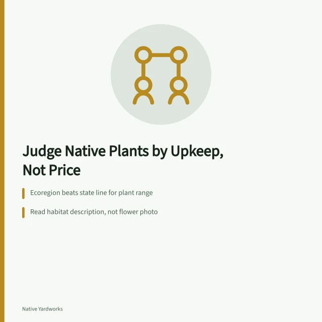 Card comparing native plant choices by ecoregion, habitat, and upkeep. Good regional native plants comparison choices usually start with value is upkeep, not price