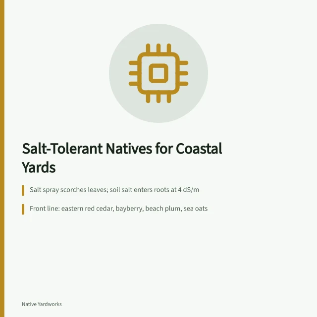 Coastal native plants for salt spray and saline soil gardens. Salt-Tolerant Native Plants for Atlantic Coastal Yards: A Regional Guide