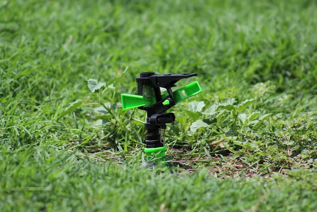 grass, flora, lawn, growth, nature, sprinkler, plastic, irrigation, sprinkler, sprinkler, sprinkler, sprinkler, sprinkler, irrigation, irrigation. Turf rebate programs by state: California, Arizona, Texas