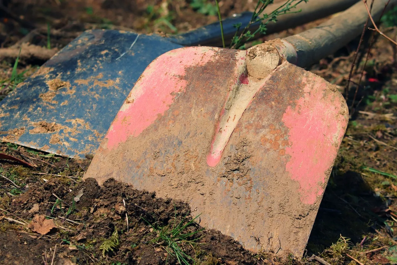 gardening, garden shovel, earth, garden soil, nature, mother bottom, shovel, digging around, garden, tool, working device, garden tools, equipment, dig, clean, clean up, landscaping, tools, work, maintenance, court, gardener. Native landscaping costs lessons: five regrets, no dollar estimates