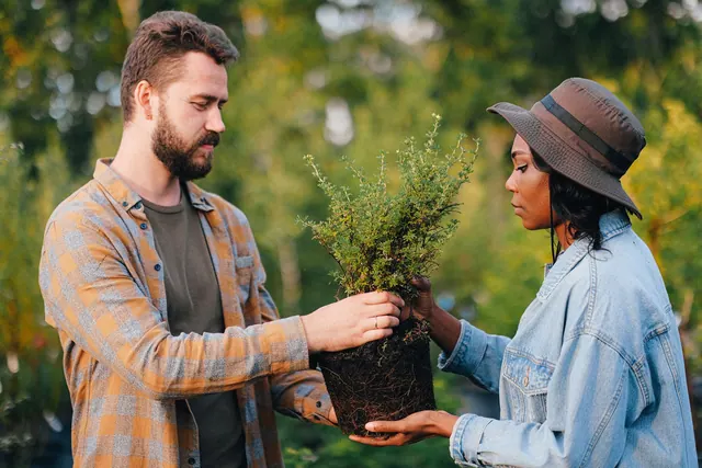 A man and woman exchanging a potted plant in a garden setting.