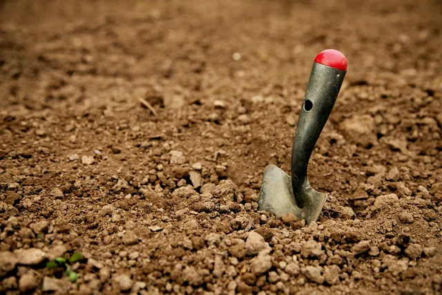 shovel, earth, hand shovel, dig, dirt, floor, shovel, shovel, shovel, shovel, shovel, dig, dig. Lawn Replacement Problems After Turf Removal