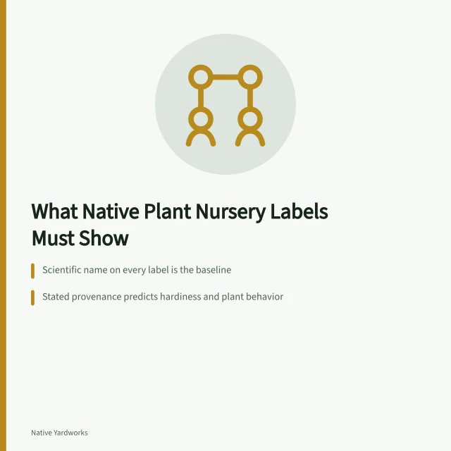 Card comparing native plant nursery labels, provenance, and replacement policies. Comparing honest plant descriptions and services worth the premium for native plant nurseries comparison