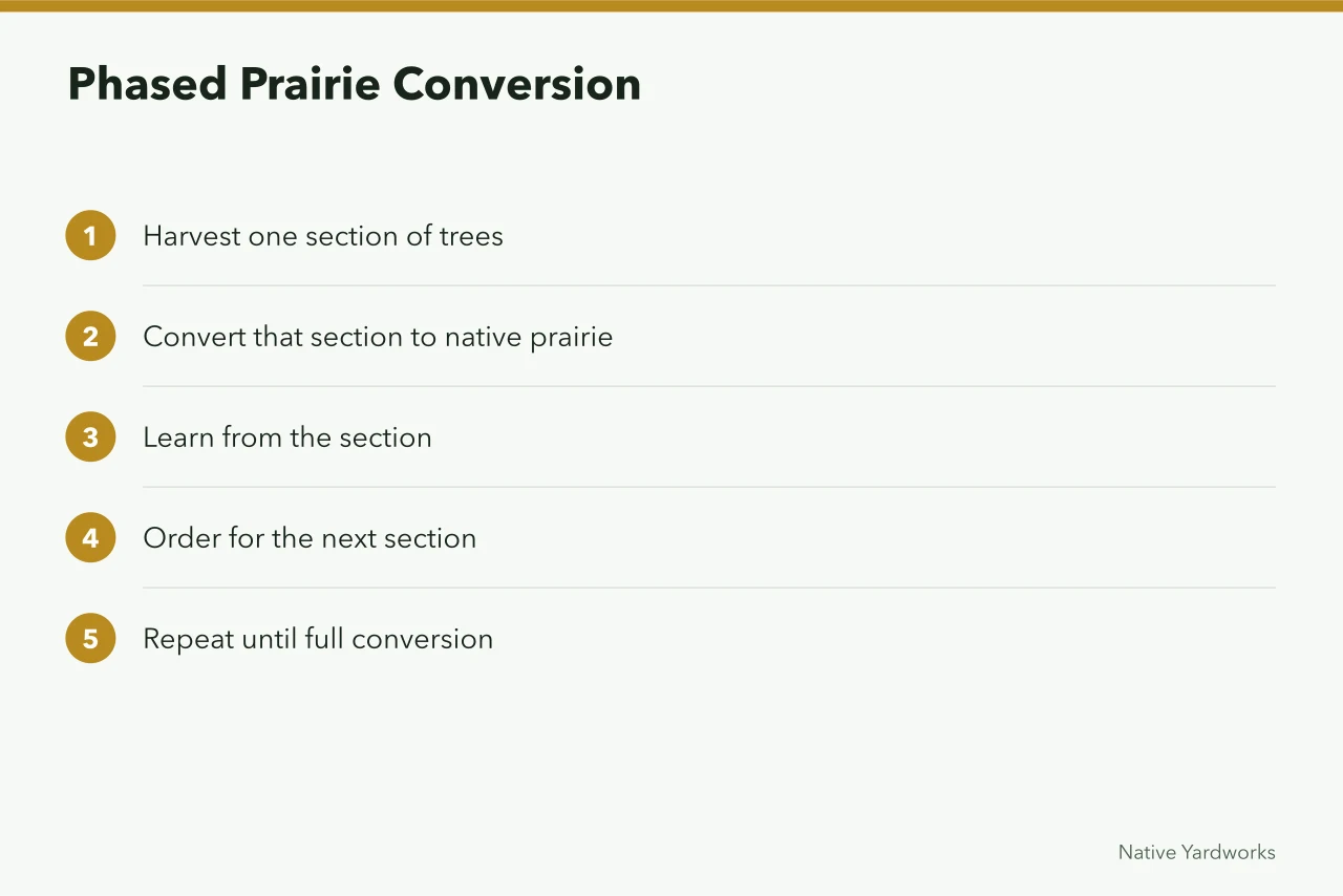 Steps for converting a tree farm to prairie section by section (Which part of native plant nurseries case studies really comes down to the relationship is the asset?)