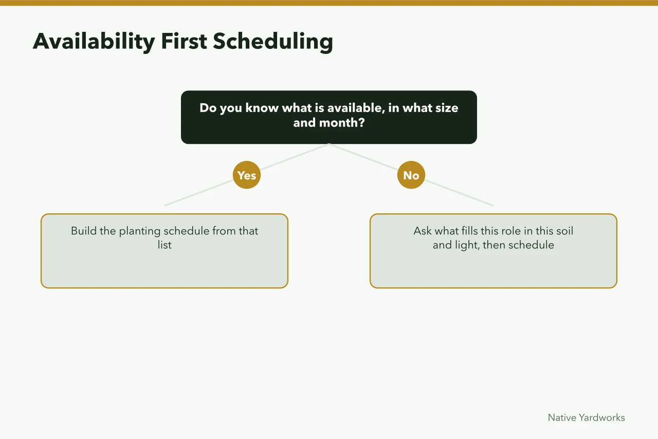 Decision flow for building a planting schedule from nursery availability (Which part of native plant nurseries case studies really comes down to the relationship is the asset?)